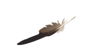 Plume signature © Lise Gagnon